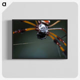 2-92_Insects-Unlocked-Project_blk-crop