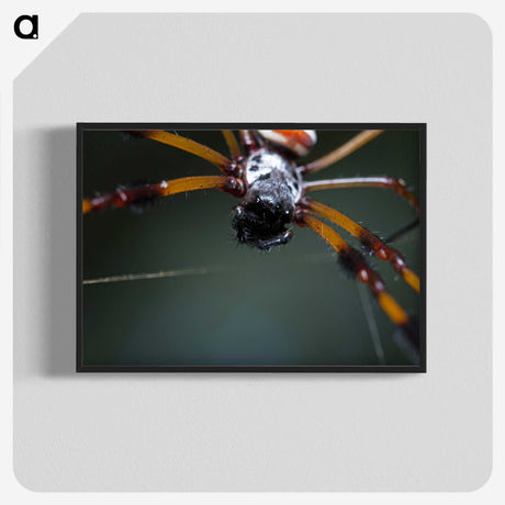 2-92_Insects-Unlocked-Project_blk-crop