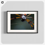 2-92_Insects-Unlocked-Project_blk
