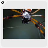 2-92_Insects-Unlocked-Project_picture-crop