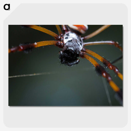 2-92_Insects-Unlocked-Project_picture-crop
