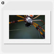2-92_Insects-Unlocked-Project_picture