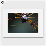 2-92_Insects-Unlocked-Project_picture