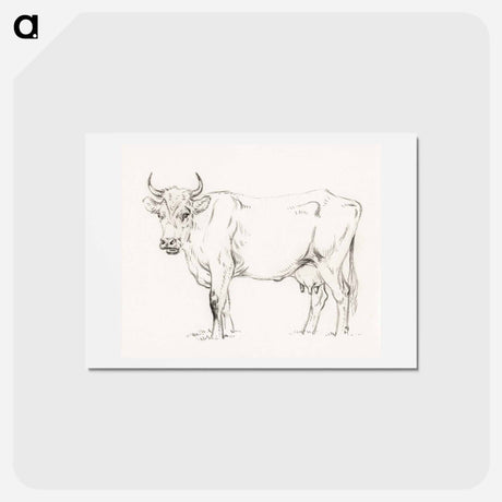 アートポストカード-Standing cow - ジャン ベルナール Postcard.
