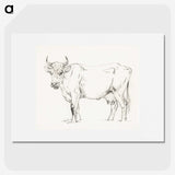 2-92_Jean-Bernard_picture