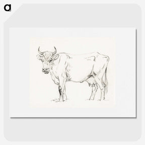 2-92_Jean-Bernard_picture