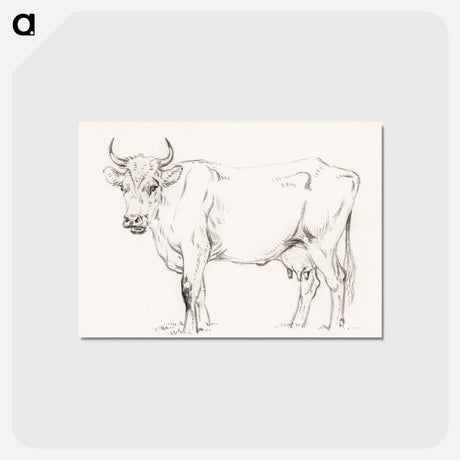 アートポストカード-Standing cow - ジャン ベルナール Postcard.