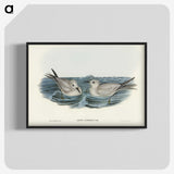 2-92_John-Gould_blk-crop