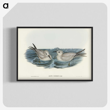 2-92_John-Gould_blk-crop