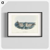 2-92_John-Gould_blk
