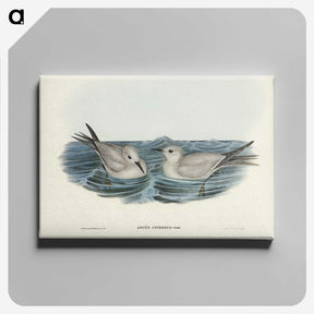 2-92_John-Gould_canvas