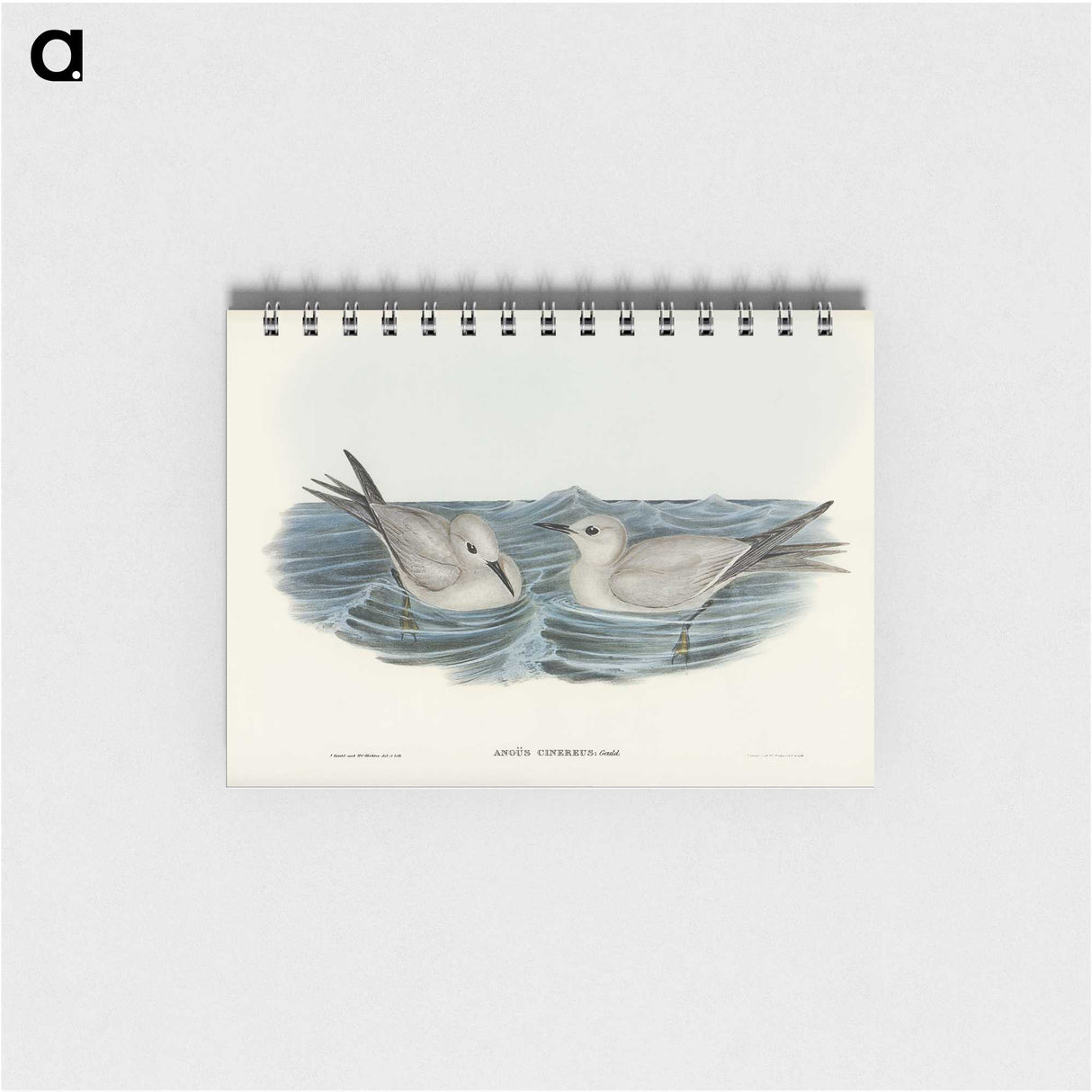 2-92_John-Gould_memo