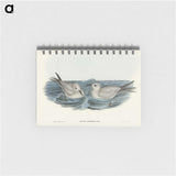 2-92_John-Gould_memo