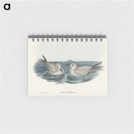 2-92_John-Gould_memo