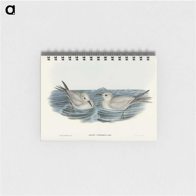 2-92_John-Gould_memo