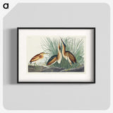2-92_John-James-Audubon_blk