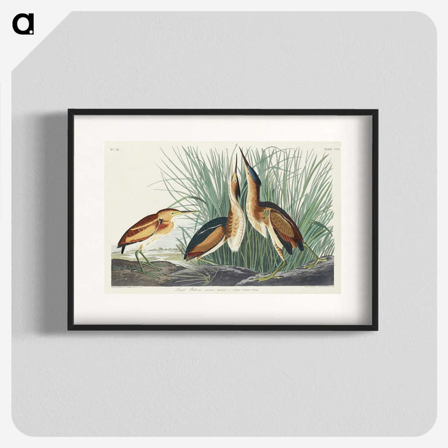 2-92_John-James-Audubon_blk