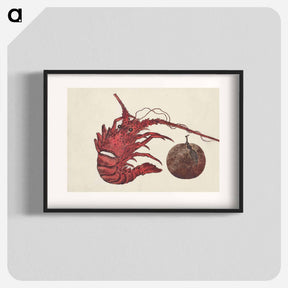 アートポスター-Japanese lobster from Album of Sketches by Katsushika Hokusai and His Disciples - 葛飾 北斎 Poster.