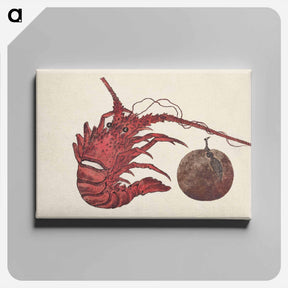 アートパネル-Japanese lobster from Album of Sketches by Katsushika Hokusai and His Disciples - 葛飾 北斎 Canvas.