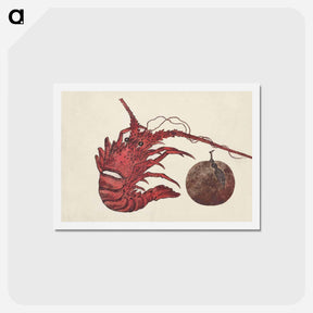 アートポストカード-Japanese lobster from Album of Sketches by Katsushika Hokusai and His Disciples - 葛飾 北斎 Postcard.