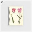 アートメモ帳-Tulipa gesneriana
 - マリア ジビーラ メーリアン Memo.