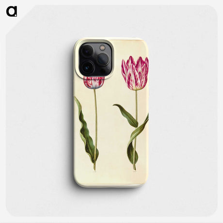 2-92_Maria-Sibylla-Merian_phone