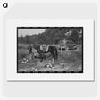 2-92_Marion-Post-Wolcott_picture