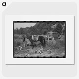 2-92_Marion-Post-Wolcott_picture