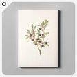 2-92_Mary-Vaux-Walcott_canvas