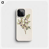 2-92_Mary-Vaux-Walcott_phone