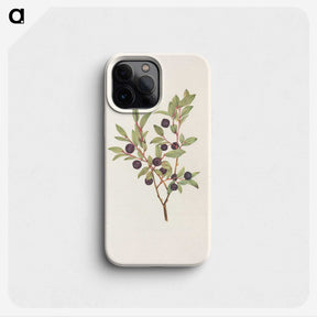 2-92_Mary-Vaux-Walcott_phone