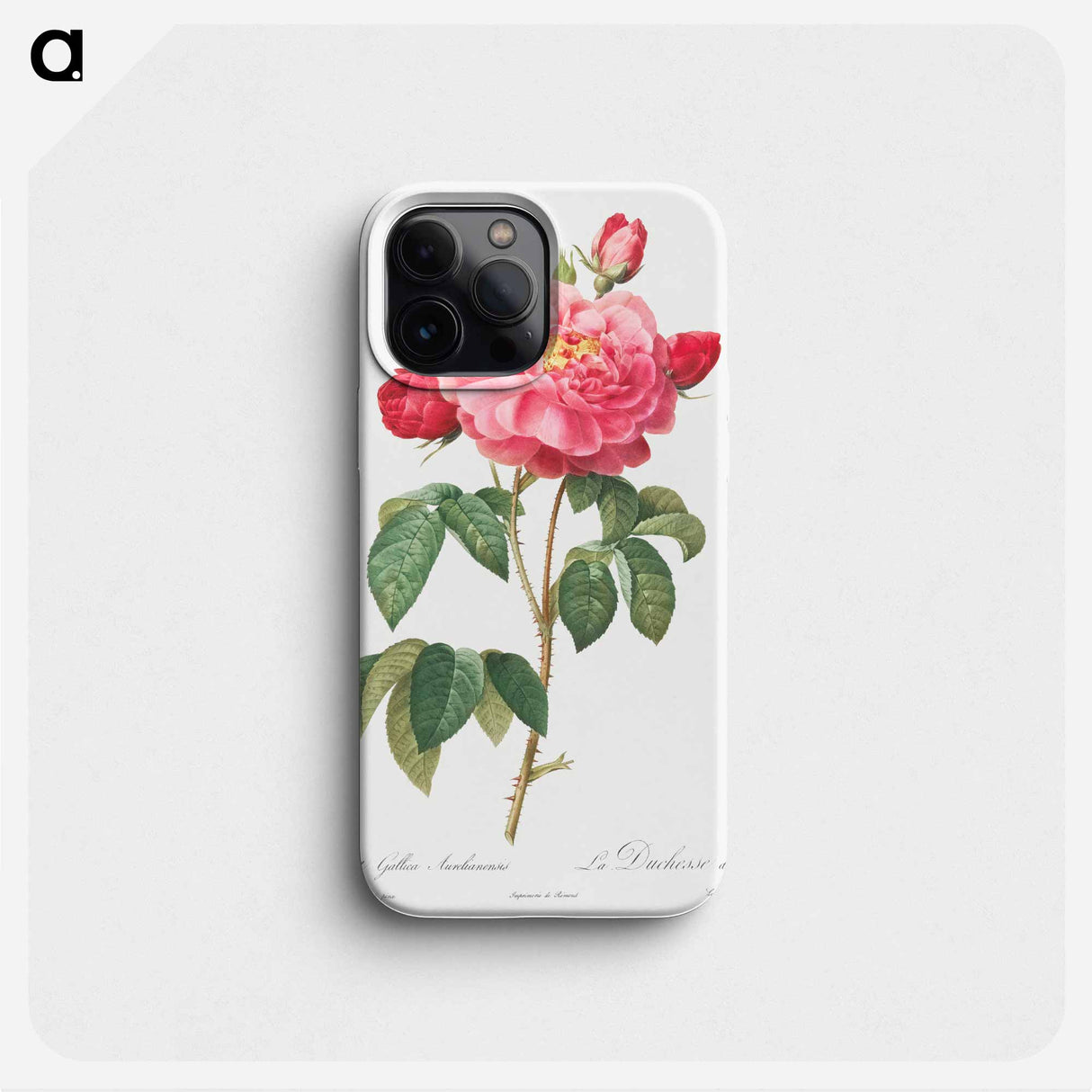 Gallic Rose - ピエール ジョゼフ ルドゥーテ Phone Case.