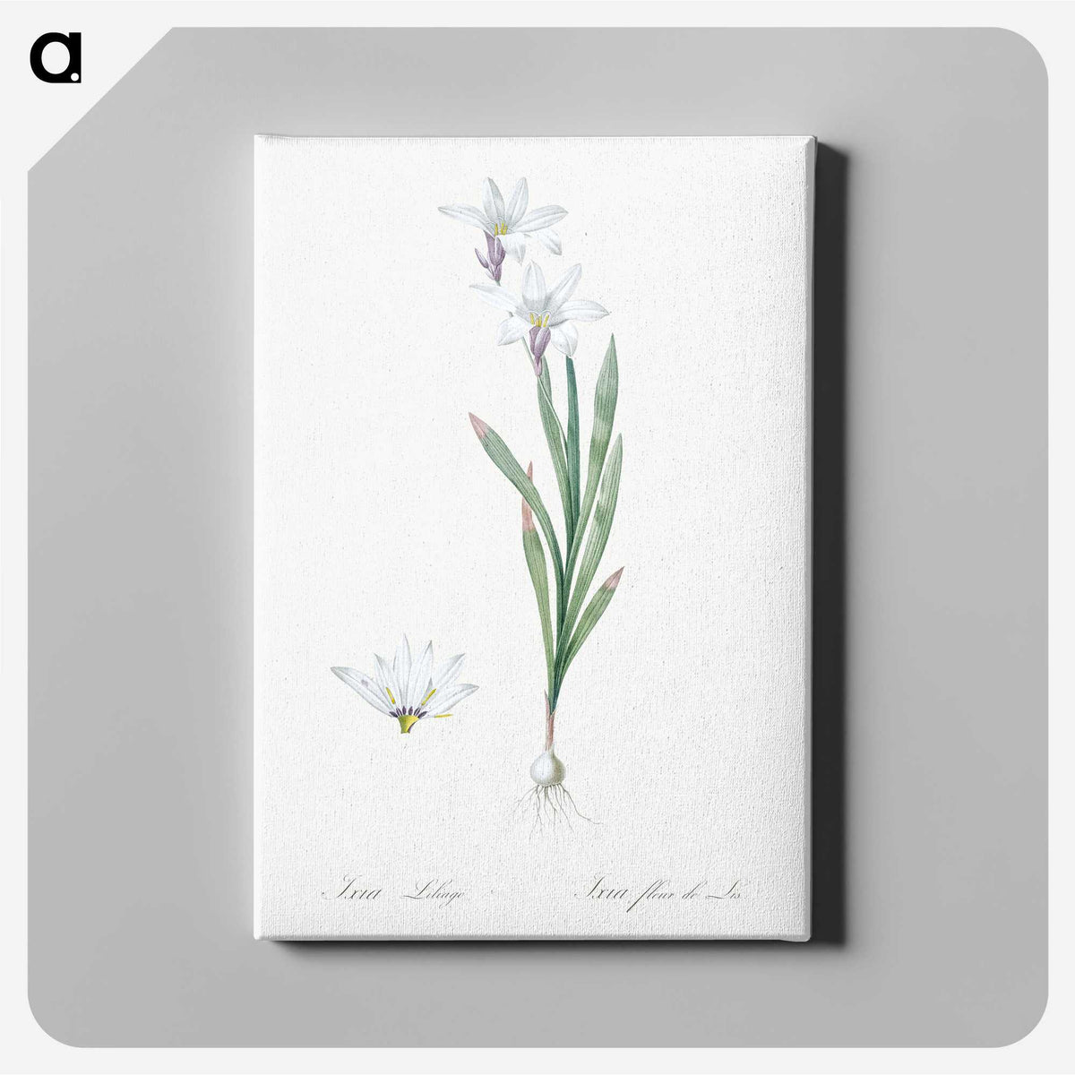 2-92_The-Lilies_canvas