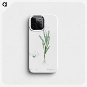 2-92_The-Lilies_phone