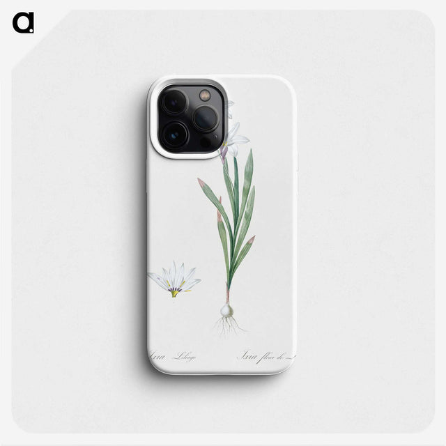 2-92_The-Lilies_phone