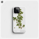 2-92_Treatise-on-Trees-and-Shrubs_phone