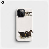 Broadbill - ニューヨークの動物学 Phone Case.