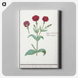2-93_Anselmus-Boetius-de-Boodt_canvas
