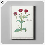 2-93_Anselmus-Boetius-de-Boodt_canvas