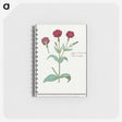2-93_Anselmus-Boetius-de-Boodt_memo