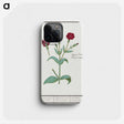 2-93_Anselmus-Boetius-de-Boodt_phone
