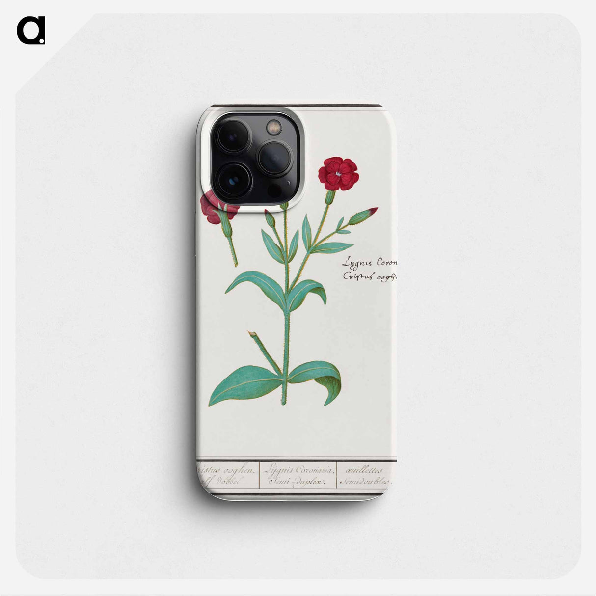 Cuckoo flower, Lychnis or Prickly nose, Lychnis coronaria - アンセルムス ボエティウス デ ブート Phone Case.