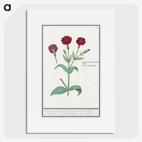 2-93_Anselmus-Boetius-de-Boodt_picture