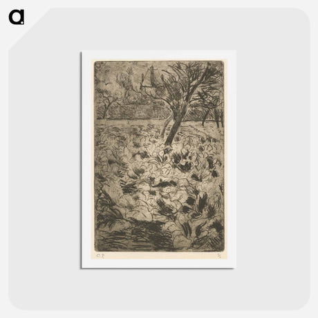 アートポストカード-The Cabbage Field - カミーユ ピサロ Postcard.