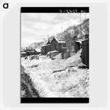 2-93_Dorothea-Lange_picture-crop