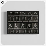 2-93_Eadweard-Muybridge_blk-crop