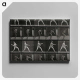 2-93_Eadweard-Muybridge_canvas
