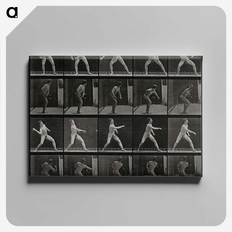 2-93_Eadweard-Muybridge_canvas
