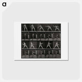 アートポストカード-Man Throwing a Ball
 - エドワード マイブリッジ Postcard.