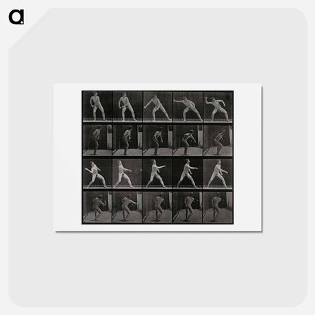 アートポストカード-Man Throwing a Ball
 - エドワード マイブリッジ Postcard.